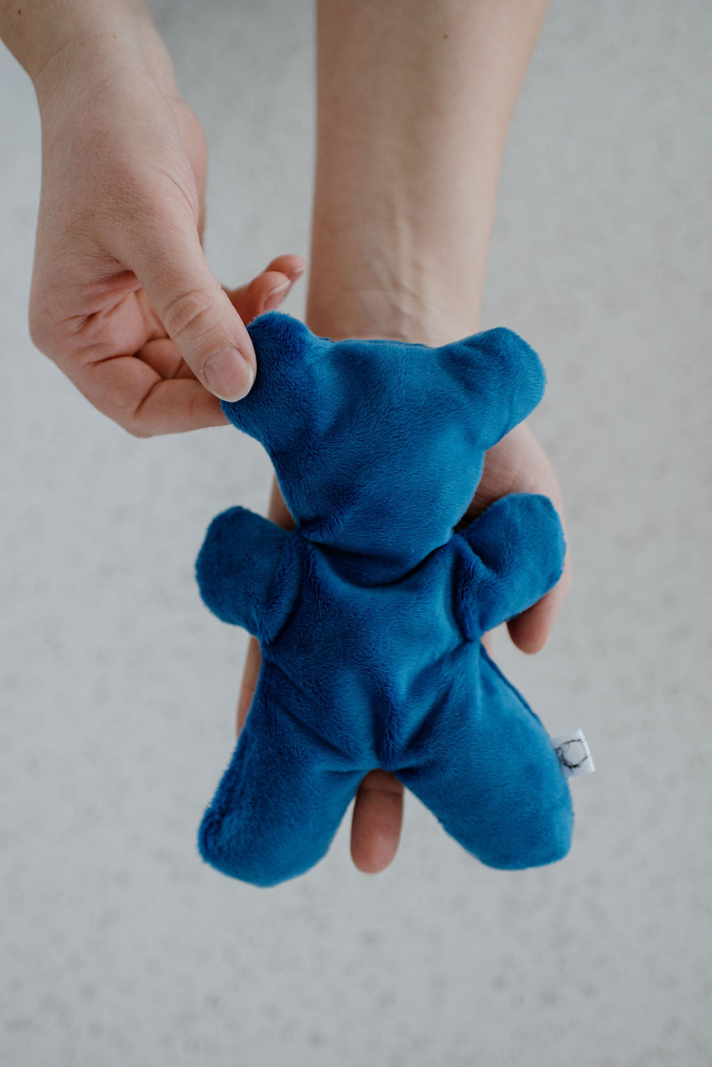 Therapy Bear