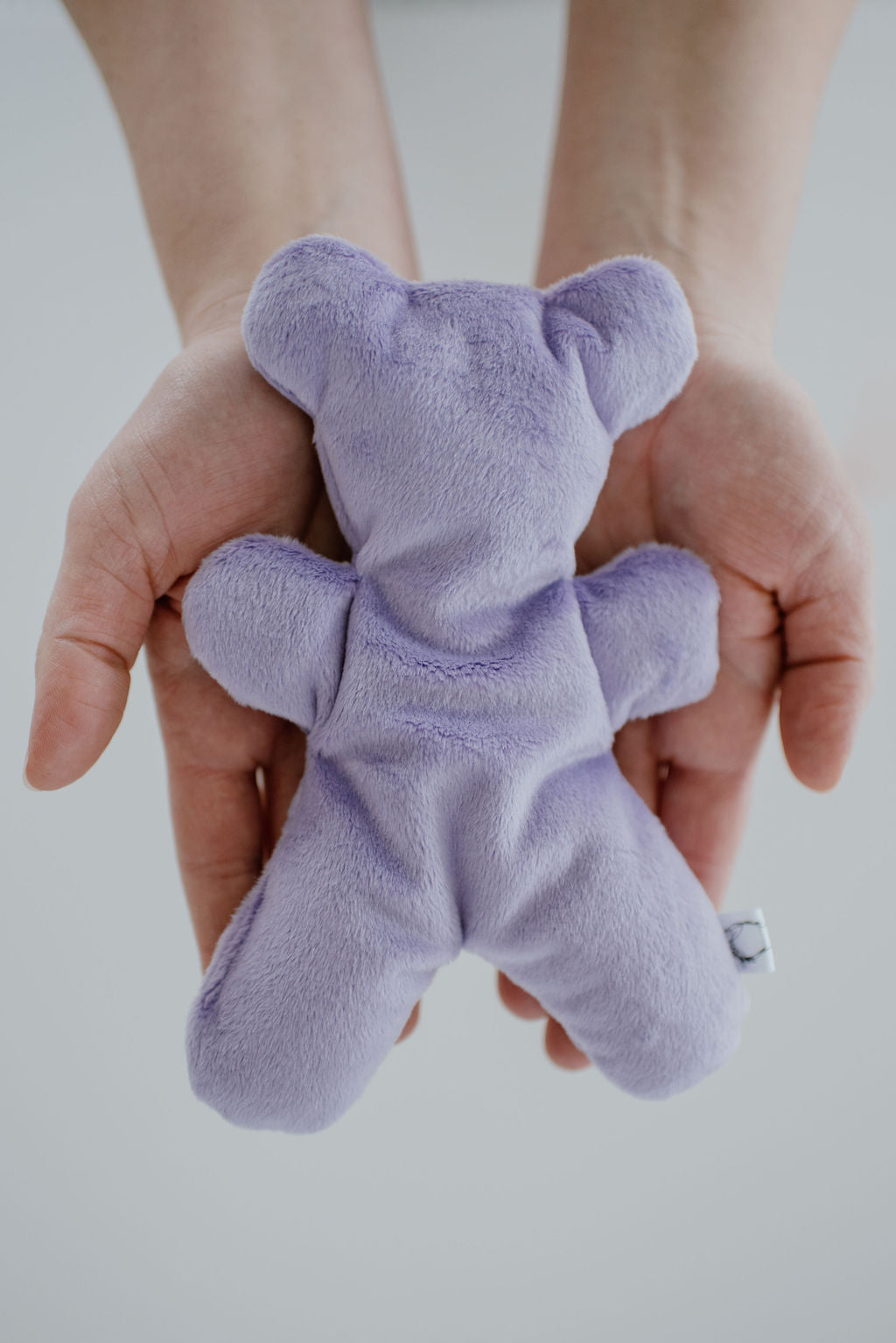 Therapy Bear