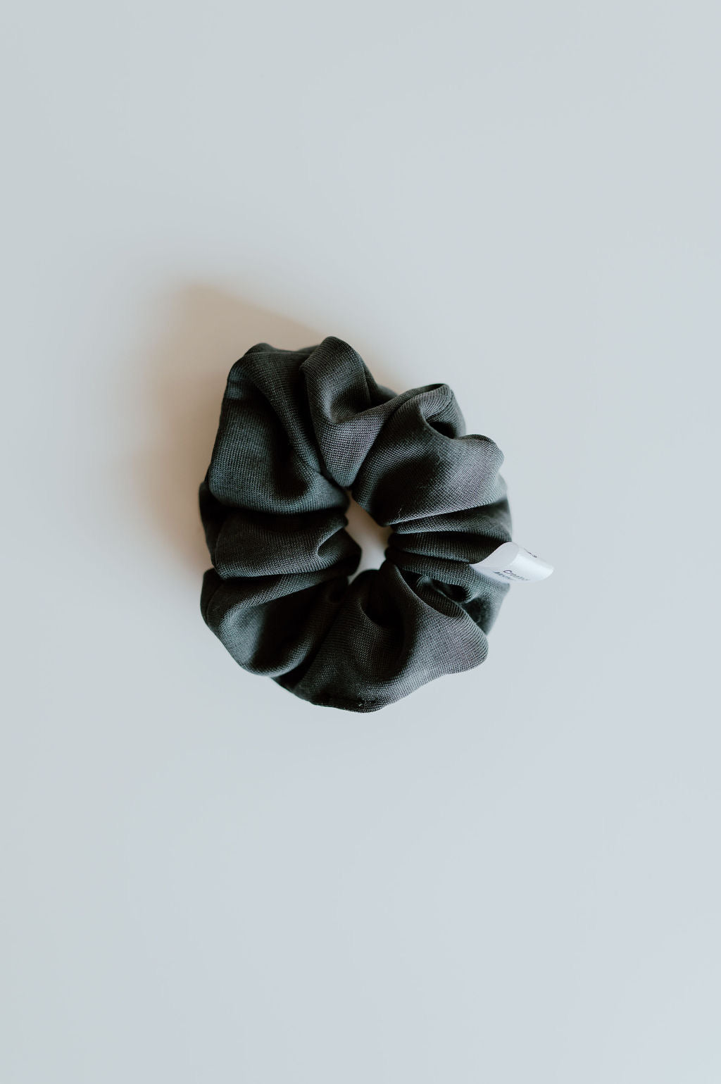 Earthy Neutral Scrunchie Collection